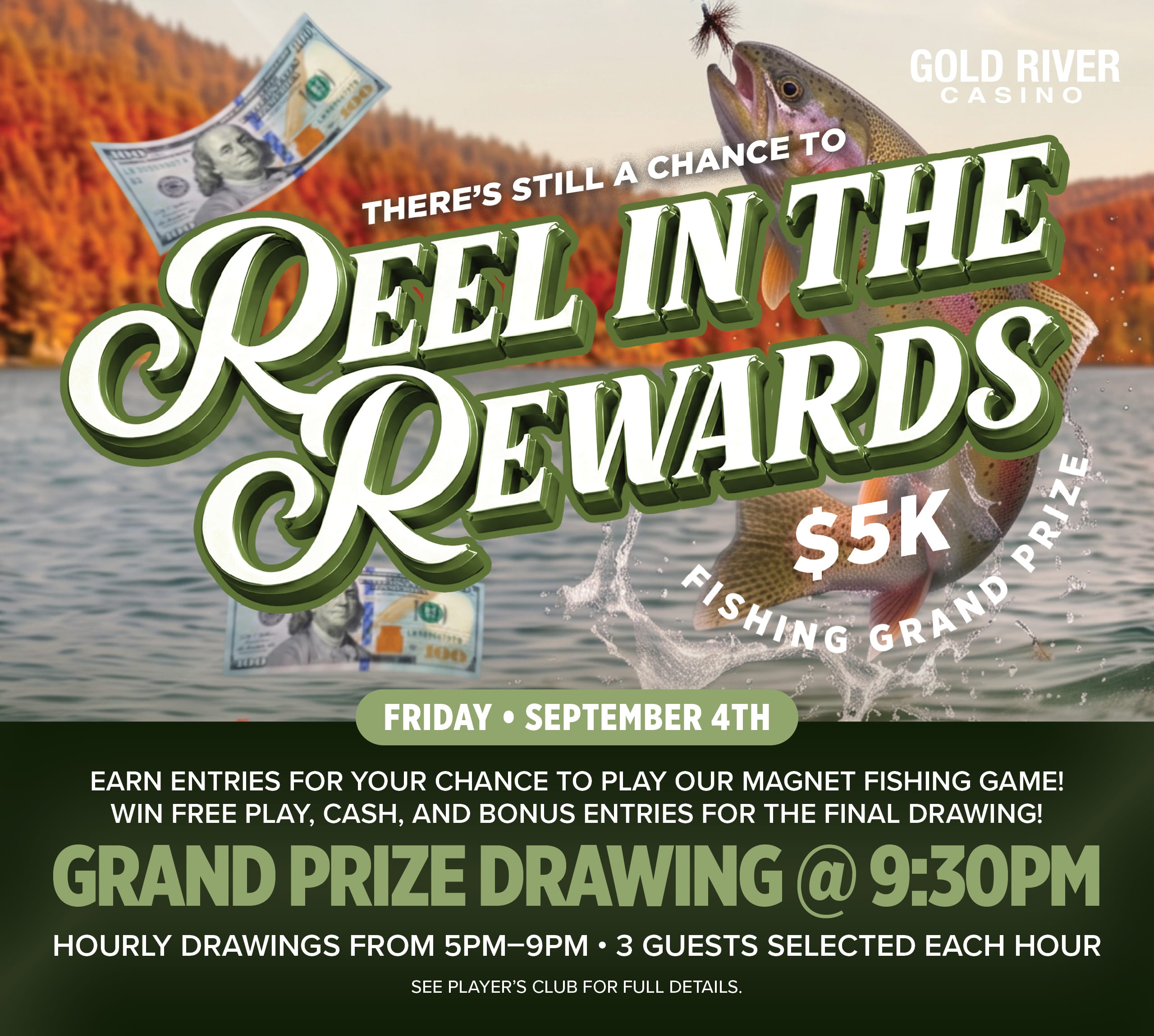 Reel in the Rewards